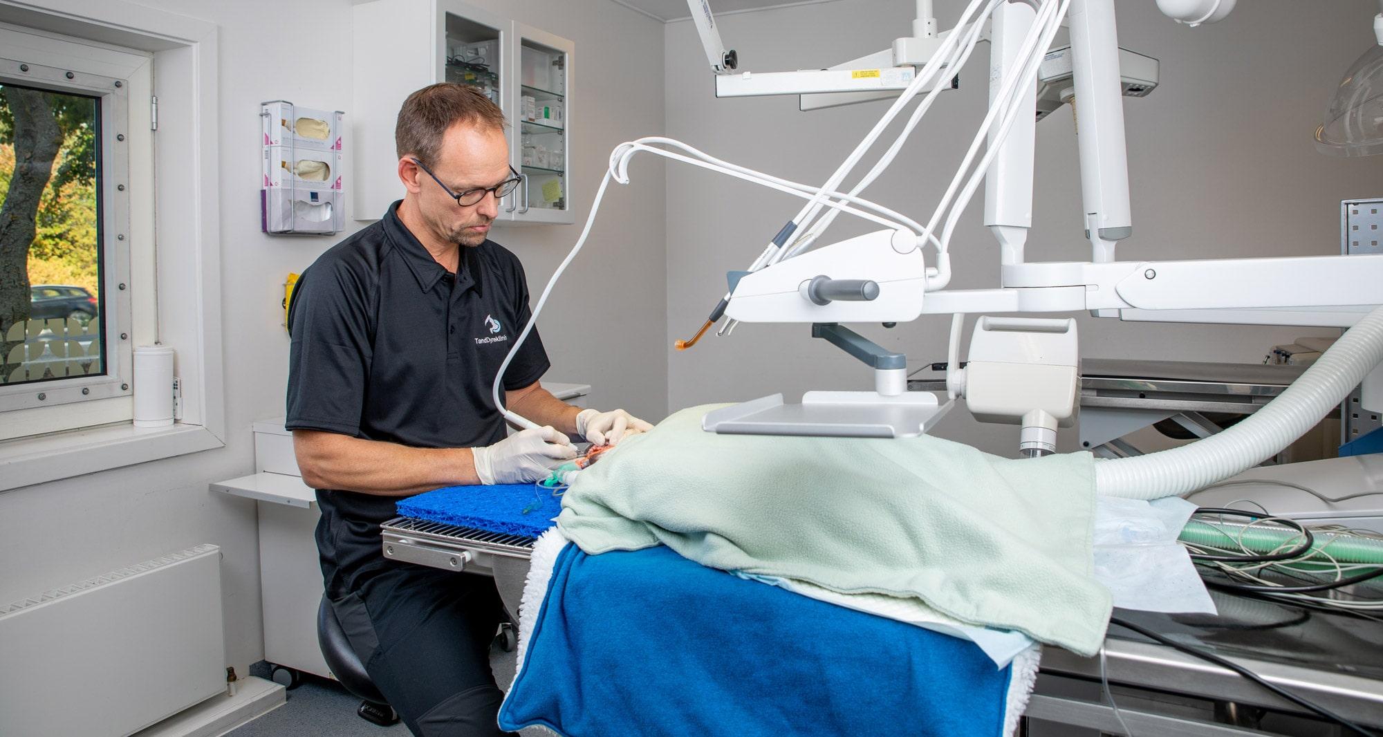 Kursus i Praktisk tandrensning