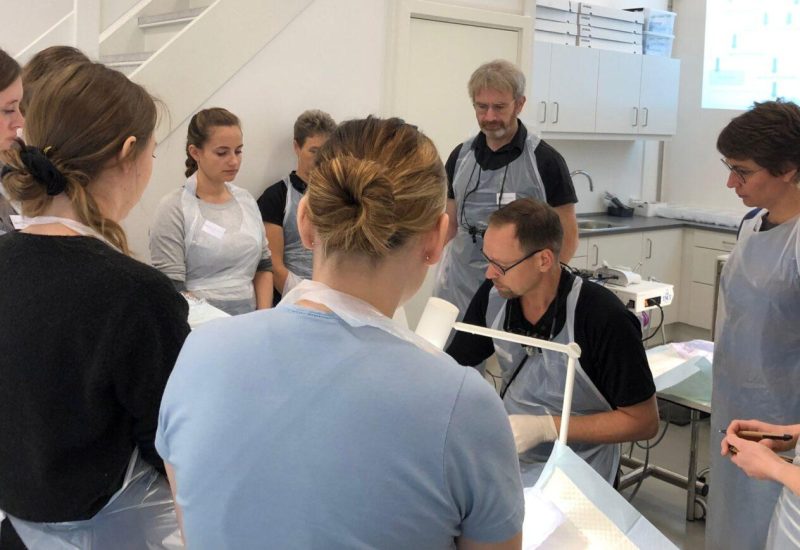 Avanceret-kirurgisk-ekstraktion-hund