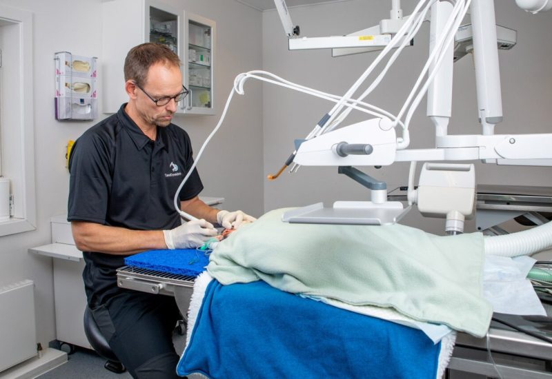 Kursus i Praktisk tandrensning